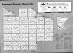 Index Map, Redwood County 1993